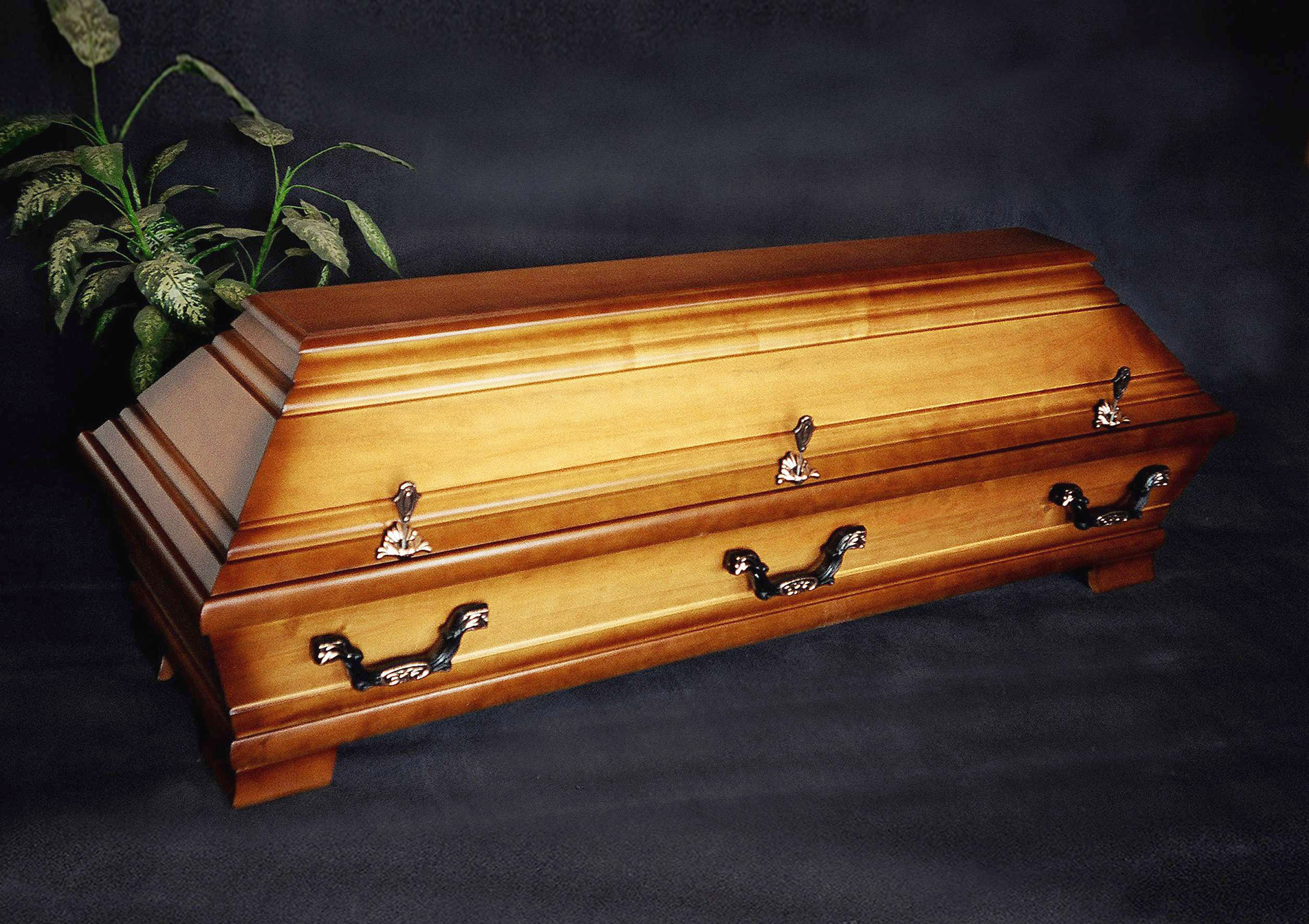 Modell PS 20 naturhell rustikal